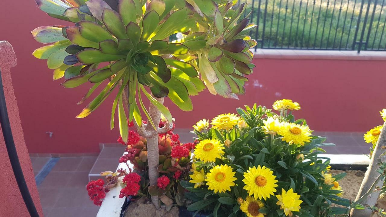 Lilium In B&B Gela Extérieur photo